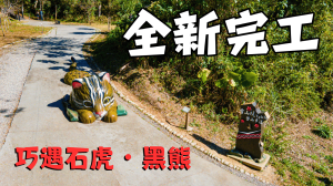 全新完工！雪山坑環線步道｜竟然遇到石虎跟黑熊？