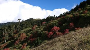 2018/10/20-21雪山之楸