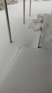 【新聞】冷氣團發威! 玉山積雪11公分持續降雪