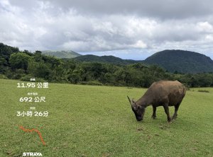 【臺北大縱走第三段】從火山硫氣孔走進青青草原｜小油坑、七星山與擎天崗的療癒山旅
