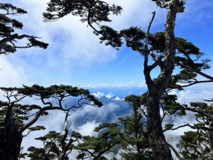 【壯闊雲海故鄉】一日單攻北大武