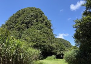 【肉腳練功記 No.23】獅仔頭山 隘勇線