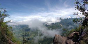 東卯山步道-2023/08/20