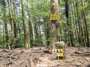 【台中和平】長壽山_肥崠山_山徑