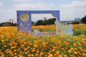 2026-05-07 江子翠蝴蝶公園花海─五福新村站→江子翠橫移門→蝴蝶公園花海→蝴蝶公園觀景平台→福翠里綠色走廊