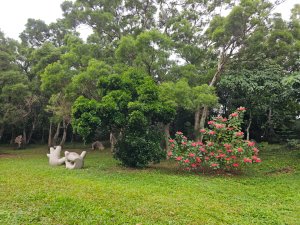 2025臺北大縱走第一段：關渡至二子坪