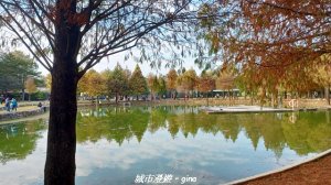 【南投名間】欣美創意園區~落羽松