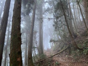 斯可巴地區步道導覽