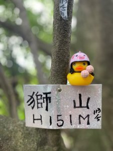 象獅豹虎四獸山連線-秘境