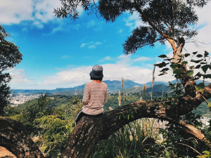 臺北大縱走5：尋寶任務：劍潭支線