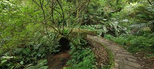 2025/11/02_大崎棟古道+騎龍古道+逃學步道