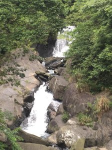 拉拉山巨木～～雨後雲海