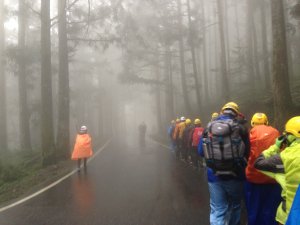 走過中橫 再戰北橫