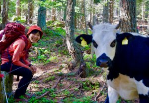  ［TMB環白朗峰健行 7 ］⋯ 樹林中的類固醇！