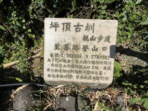 《坪頂古圳步道O形縱走｜大崎頭梯田、竹林秘境，夏日最涼的水圳步道》