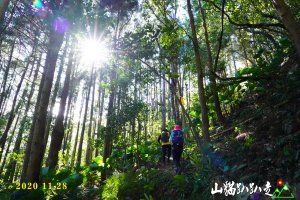 高島縱走五星級森林療癒步道