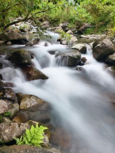 宜蘭松羅步道冬山河-福山植物園龍潭湖_20240825-26