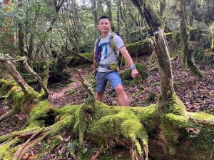 卡拉寶山.白楊步道