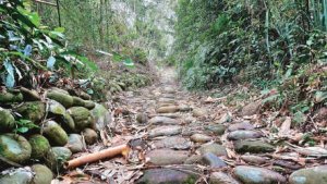 清水坑古道→伙房崎古道→打牛崎古道（RSA05-RSA04-RSA06）