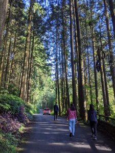 【我淨山我驕傲】 奮起湖杉林木棧道一日淨山