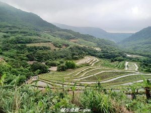【新北石門】全台唯一火山岩石砌梯田。 嵩山百年梯田阡陌步道