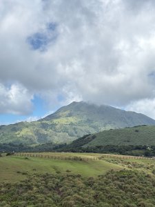 擎天崗
