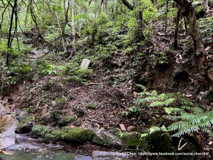 2025 D1205 姜草越嶺古道  : 清代的古墓碑 →泰安瀑布 →  旗尾崙山