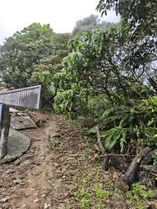 2025臺北大縱走臺北大縱走第六段