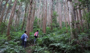 麥巴來山