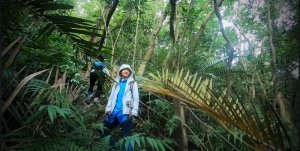 【北面特派任務】打牛崎古道淨山紀錄（夏季）