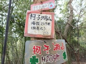 竹東鎮柯子湖山福隆步道稜線路+腰繞路P字走