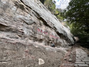 【新竹苗栗】火車＋公車的猿獅縱走