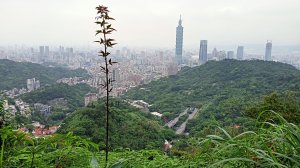 【臺北大縱走 6】石階綿延的南港山縱走親山步道