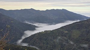 美到爆，觀霧國家森林遊樂區檜山巨木群步道