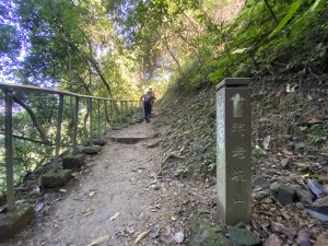 《銀河洞越嶺到貓空｜冬日健行 4 5 公里秘境步道｜親子也適合的台北近郊路線》