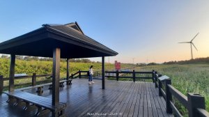 《台中》海濱夕陽｜龜殼生態公園連走大安紅樹林生態步道20241020