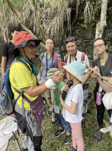 三峽消暑熱點報到！滿月圓蝶舞季今夏繽紛登場
