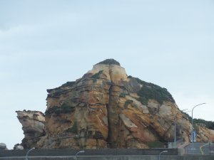 野柳里登山步道、駱駝峰稜線O型走