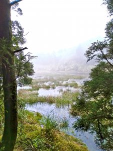 夢幻湖步道