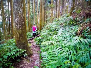 向天湖山小百岳