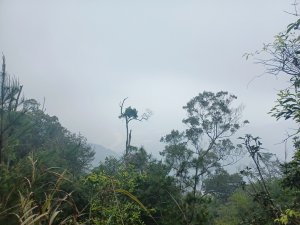 熊爸