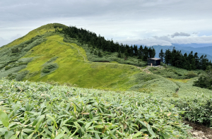 ［日本百名山］織女的盼望⋯ 巻機山