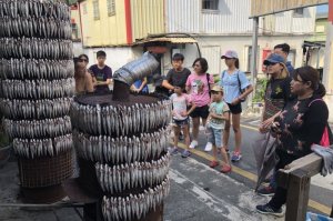 輕夏海派飛魚二日遊