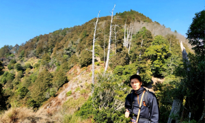 【中級山】埔里六秀之首，守城大山，連走守關山，守關山南峰