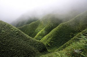 【宜蘭】聖母登山步道朝聖.順登三角崙山--加滿奶霜的抹茶山