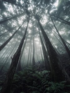 油羅山 2025 09/13