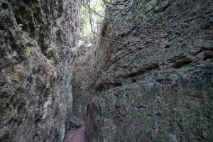 【霧霾】【柴山龍谷步道】