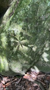 南庄鵝公髻山東河線