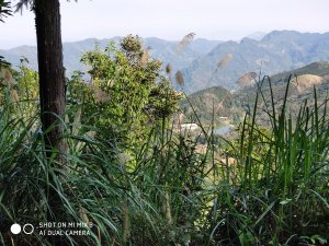 向天湖山踏泥而行