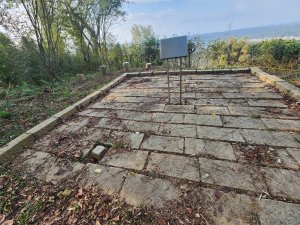 2026022面桶寮山小分林山大分林山